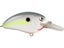 Nasty Shad