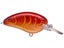 Rayburn Red