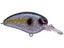 Sparkle Shad