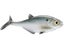 Smash-Tech Baits Gizzard Shad Weedless Swimbaits