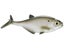 Smash-Tech Baits Gizzard Shad Weedless Swimbaits