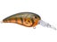 Olive Craw