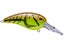 Spring Craw