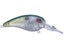 Sparkle Shad
