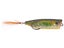 Snag Proof Zoo Pop Ayu 3/8oz