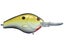 Copper Shad