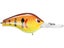 Honey Craw
