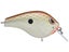 Honey Shad