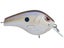 Natural Herring