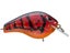 Red Crawfish