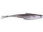 6th Sense Flush 5.2 Soft Jerkbait