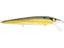 Foxy Shad