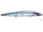 Blue Back Herring