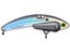 Kentucky Shad