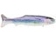 Signal Ultra Carp Swimbait 15"