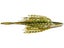 Tightlines UV Fuzzy Sow Belly Jerkbait 4pk