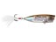 Shimano World Pop 69F Poppers 