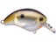 Shimano World Rush Flash Boost Squarebill Crankbait