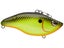 Chartreuse Black Back