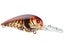 Phantom Brown Orange Craw