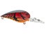 Red Craw