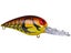 Orange Brown Craw