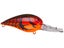Nat. Red Crayfish
