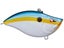 Sexy Shad