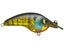 Thunderhawk A10 Jr Squarebill Crankbait