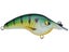 Thunderhawk A10 Jr Squarebill Crankbait