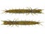 Tackle HD HD Hellgrammite 10pk