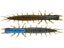 Tackle HD HD Hellgrammite 10pk