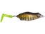 Bluegill