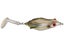 Phantasmo Shad