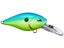 Chartreuse Blue Back