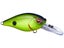 Chartreuse Black Back