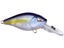 Ghost Sexy Shad