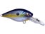 Mystic Sexy Shad