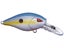 Sexy Shad