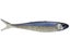 Imakatsu Fish Fly Elastomer Minnow 4pk