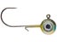 Bluegill