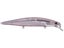 Pink Smelt
