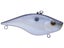 Blue Shad