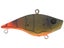 Firetail Green Craw