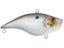 Sexier Shad