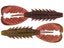 Border Craw
