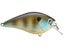 Xcite Baits XB-1 Silent Squarebill Crankbaits
