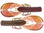 Border Craw