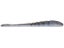 Minnow Magic