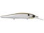Gizzard Shad